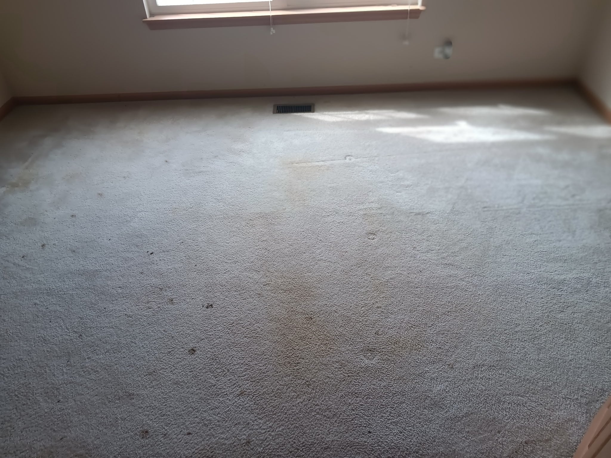 Living room carpet before cleaning by San Juan