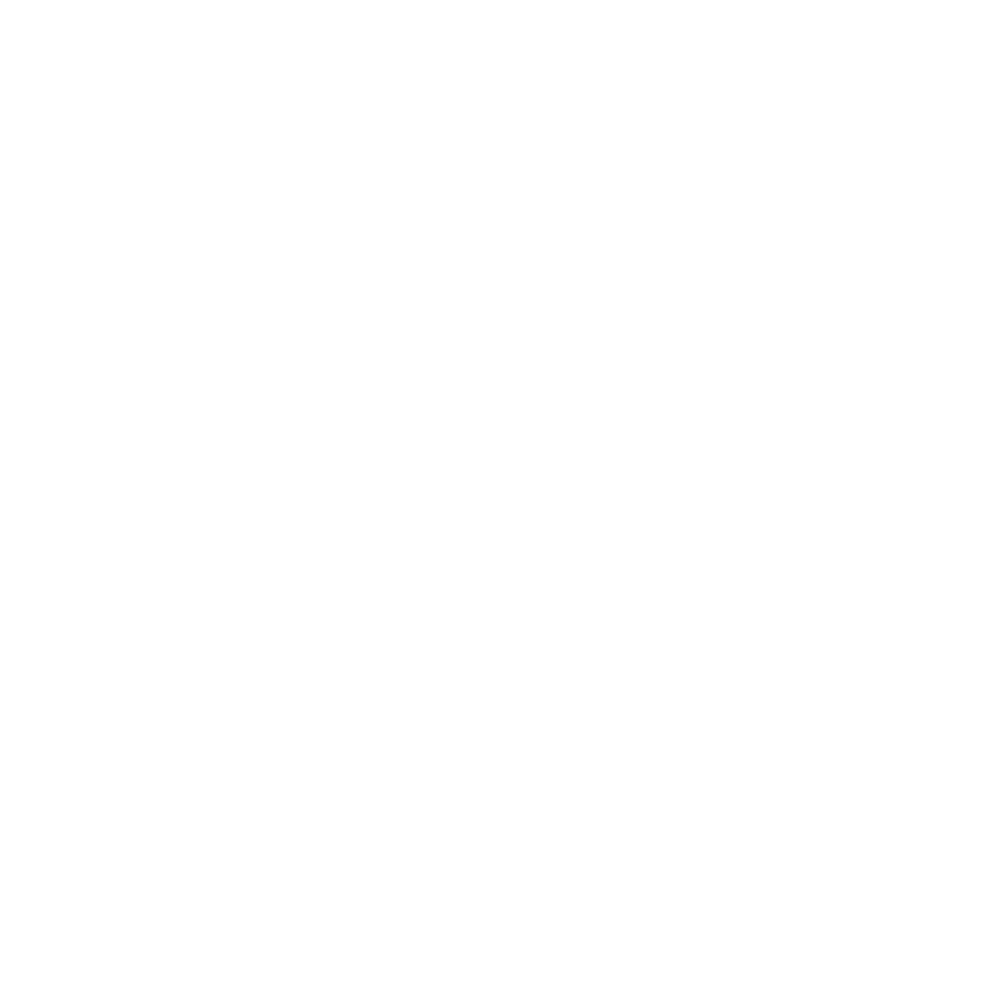 Carpet Cleaning San Juan LLC
