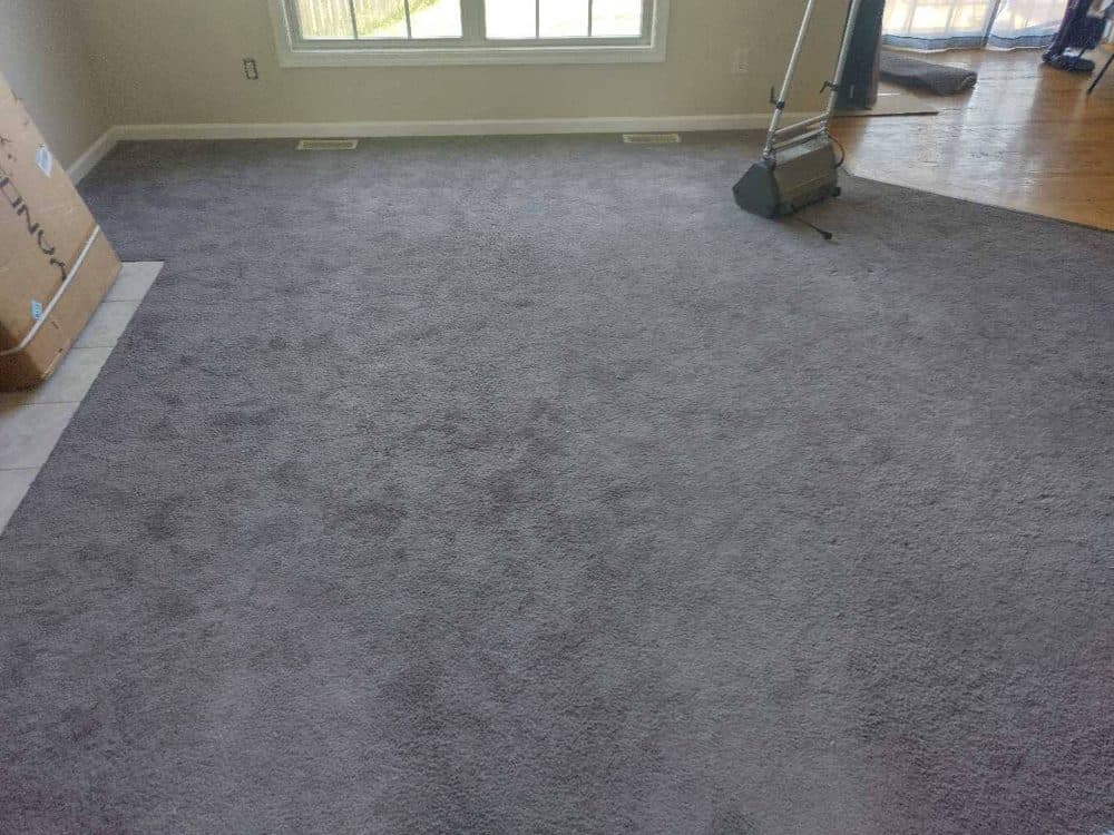 Grey living-room carpet after professional cleaning with cleaning equipment nearby