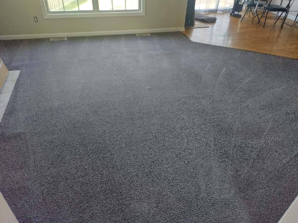 Freshly cleaned grey carpet showing wand lines in a bright living room