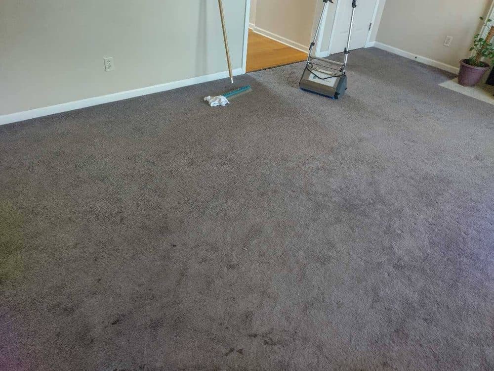 Carpet cleaning in progress with CRB agitator and grooming rake on grey carpet