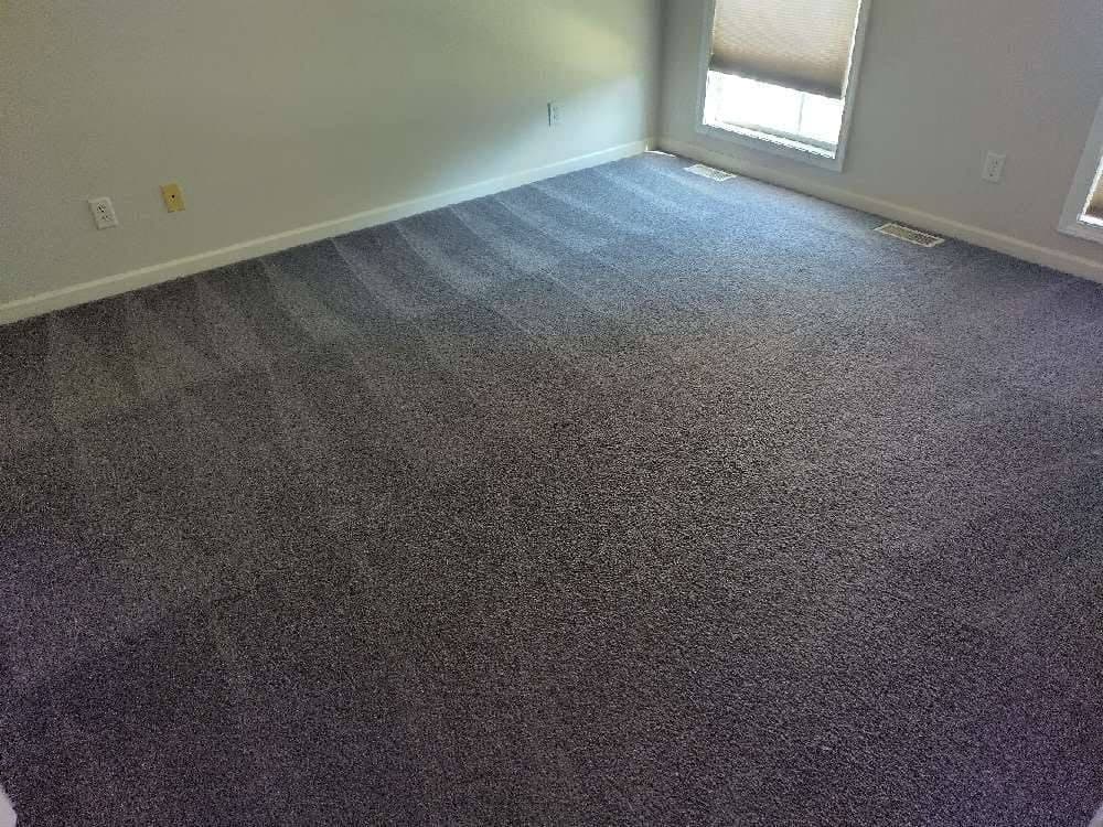 Empty room with dark grey carpet after steam cleaning wand passes